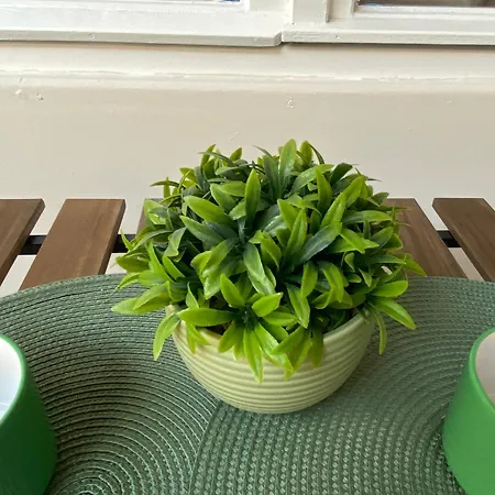 Dohany By Kalvin * Budapest